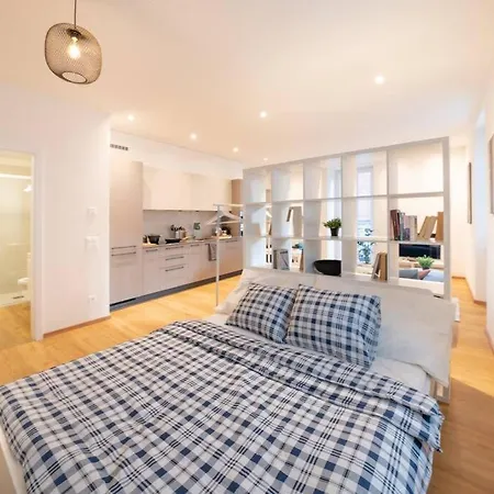 Loft Dv1 - Bellissimo Loft In Vecchia Appartement Locarno